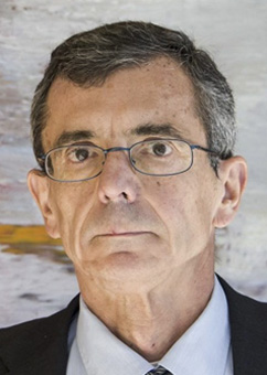 Prof. Francisco Guinea