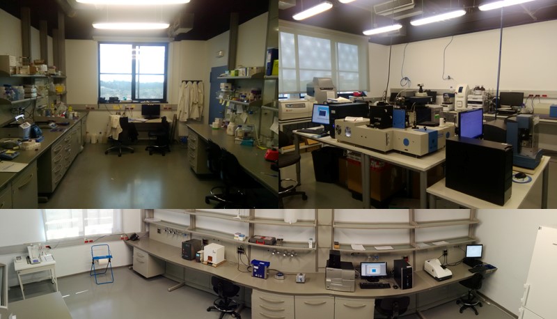 Laboratories of Protein Engineering and Nanobiotechnology