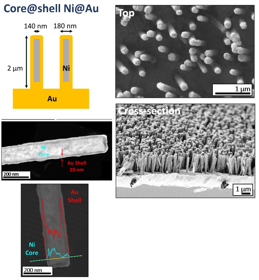 Estructure and SEM imagens of electrodes with core@shell Ni@Au nanowires (Scientific Reports 2024, 14, 3729)