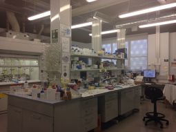 Chemistry Lab 1