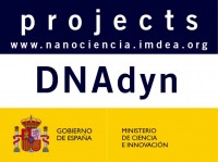 DNAdyn Single molecule studies of the mitochondrial DNA repliciation dynamics