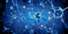 Towards personalized treatments for Amyotrophic Lateral Sclerosis: scientists analyze patient cells to improve strategy testing